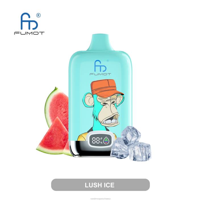 RandM Tornado Schweiz | Fumot Original RandM Digital Box 00P213 12000-Akku und Liquid-Display-Vape-Gerät gemischte Beeren